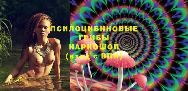 PSILOCYBIN Богородицк